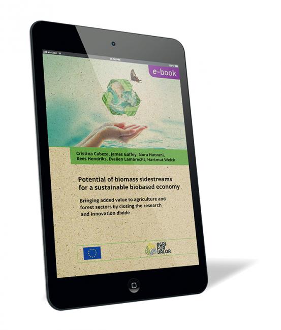 Book cover of 'Potential of biomass sidestreams for a sustainable biobased economy (E-Book)' by Cristina Cabeza, James Gaffey, Kees Hendriks, Nora Hatvani, Evelien Lambrecht, and Hartmut Welck