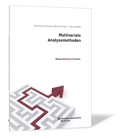 Buchcover von 'Multivariate Analysemethoden' von Marco Wölfle, mit einem stilisierten Labyrinth in Grau und Rot auf weißem Hintergrund.