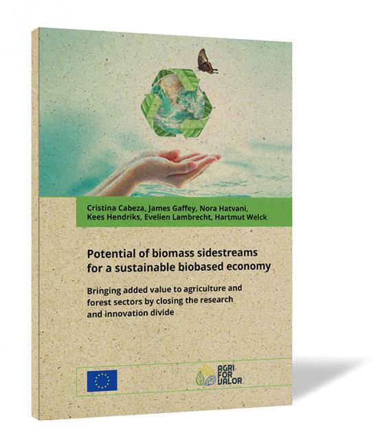 Book cover of 'Potential of biomass sidestreams for a sustainable biobased economy' by Cristina Cabeza, with an image of a hand holding a globe and a butterfly, set against a natural background.