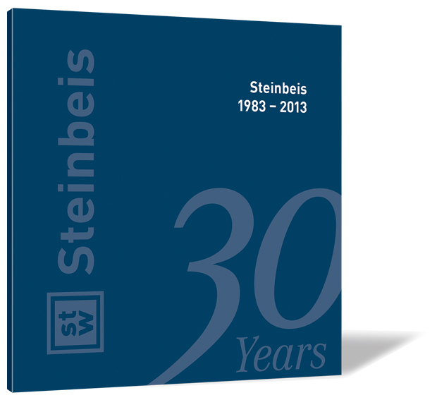 Book cover of 'Steinbeis 1983 - 2013' by Steinbeis-Stiftung with dark background