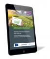 Business Internationalization and Scale up