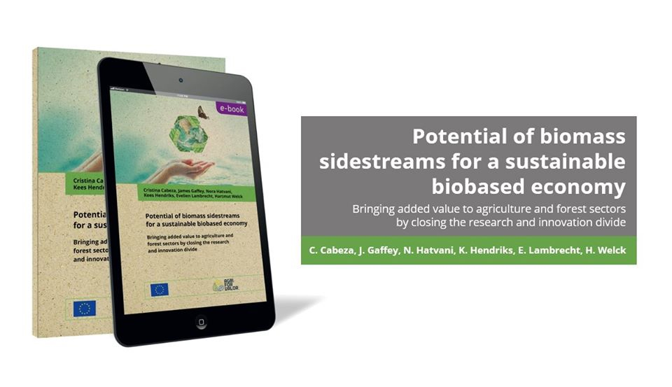 Potential of biomass sidestreams for a sustainable biobased economy