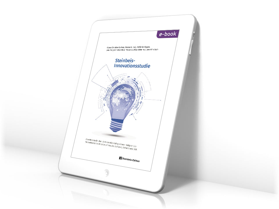 Steinbeis Innovationsstudie E-Book